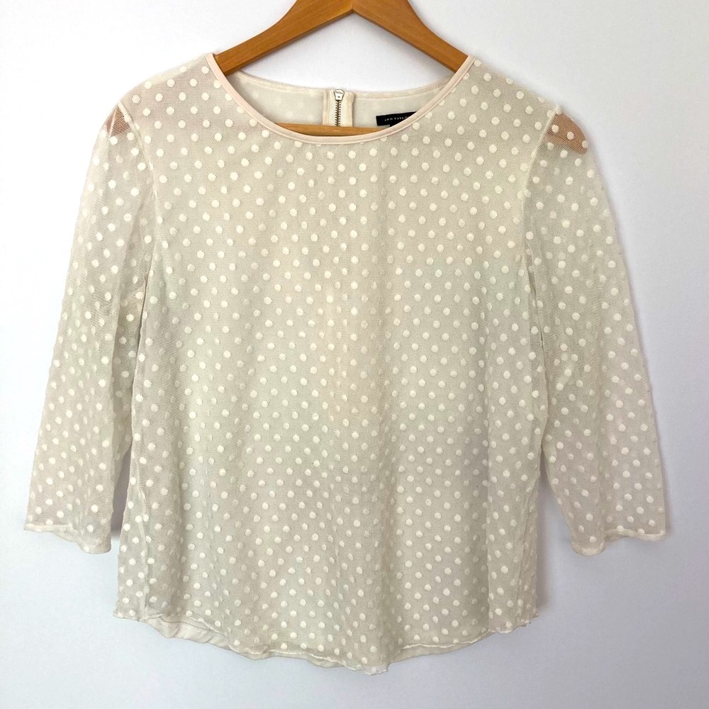 Ann Taylor Swiss Dot Ivory Mesh Blouse Lined 3/4 Sleeves Large